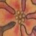 Tattoos - Flower and Ribbon Tattoo - 67638