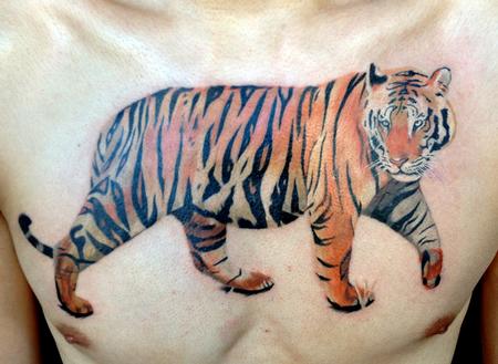 Tattoos - Tiger chest in progress - 79616