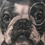 Tattoos - Boston Terrier Portrait - 100598