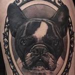 Tattoos - Boston Terrier Tattoo - 113717