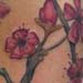 Tattoos - more cherry blossom branches! - 26257