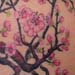 Tattoos - cherry blossom branches  - 26258