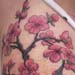 Tattoos - cherry blossom branches  - 26259