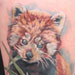 Tattoos - red panda - 31048