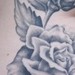 Tattoos - grey roses - 46424