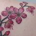 Tattoos - blossoms - 31047