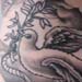 Tattoos - Dove - 14728
