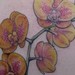Tattoos - yellow orchids - 46446