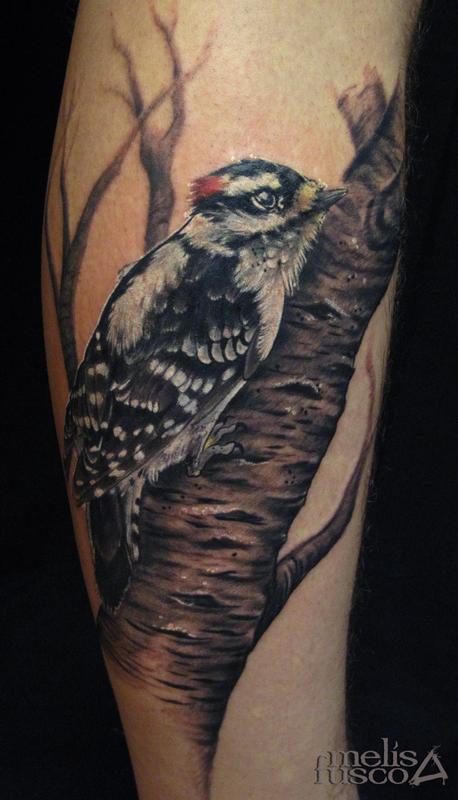 woodpecker on birch by Melissa Fusco: TattooNOW