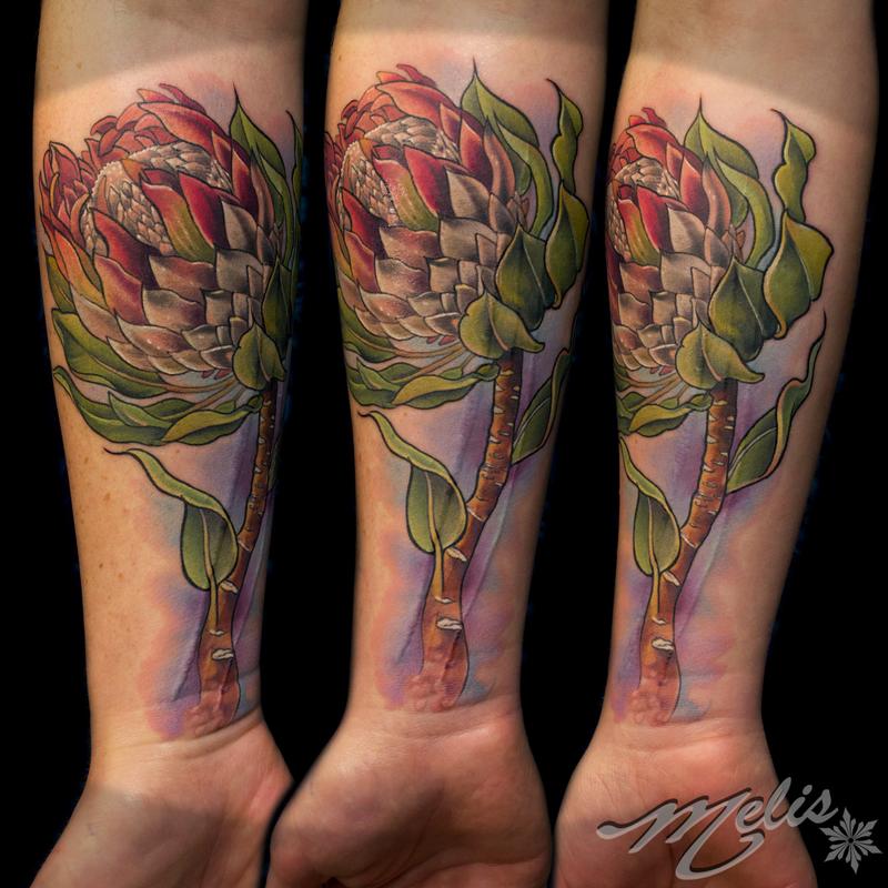 Tattoo uploaded by Liz Venom  A protea flower i tattooed tattoo ink  tattoos inked brisbanetattoo melbournetattoo melbournetattoos  edmontontattoo yegtattoo tattooed tattoosforgirls tattoodo skinartmag  inkedmag electrum neotat 