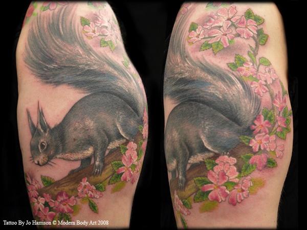 Squirrel Tattoo By Jo Harrison Tattoonow