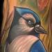 Tattoos - Blue Jay - 93247