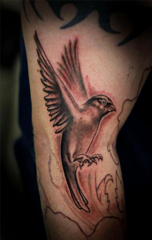 Black and grey sparrow by Nathan Boon: TattooNOW