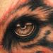 Tattoos - Full color tiger's eye - 69971