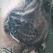 Tattoos - Cashmir - American Staffordshire - 64711