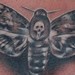 Tattoos - Death Moth - 40858