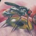 Tattoos - Flyball Tattoo - 50366
