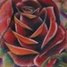 Tattoos - Rosey Neck - 40859