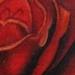 Tattoos - Meditation Rose - 59113