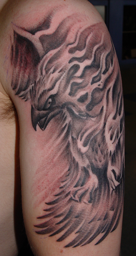 Tattoos - Phoenix - 20993
