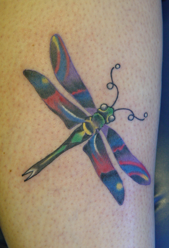 Tattoos - dragonfly - 12515