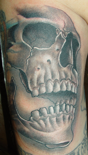Tattoos - Big ol Skull - 19524