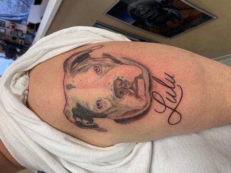 Tattoos - Pitbull Portrait with Script Lettering - 145345