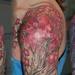 Tattoos - Cherry Tree - 67526