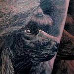 Tattoos - Barboncino - 128054