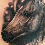 Tattoos - Horse - 123128