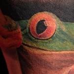 Tattoos - Frog - 99591