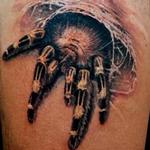 Tattoos - spider - 123126