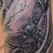 Tattoos - moth tattoo - 67214