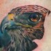 Tattoos - Hawk Tattoo - 39968