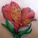 Tattoos - Lilly Tattoo - 38586