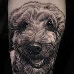 Tattoos - Poodle Dog Portrait - 139647