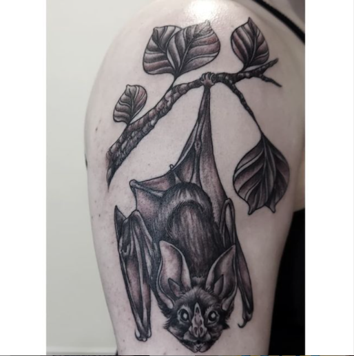 fruit bat hanging from a lemon tree branch  looking to tattoo this in the  future foxtailtattoo battattoo blackworkers blackwork  blackworktattoos occult ladytattooers rochestertattoo fruitbat  floralandfauna  Steadfast Tattoo