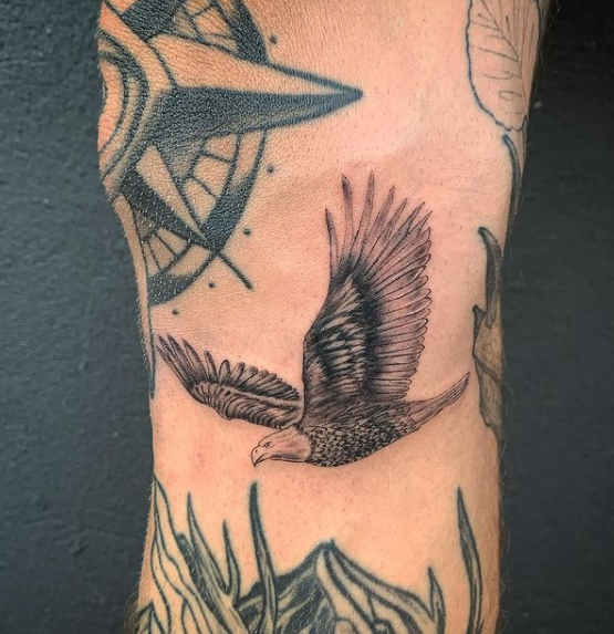 190 Hawk  Tattoo Ideas in 2023  hawk tattoo tattoos tattoo designs