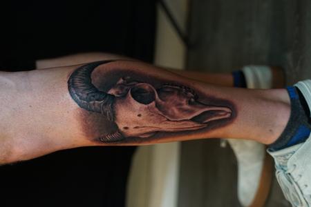 Tattoos - Ryan Cumberledge Ram Skull - 142714