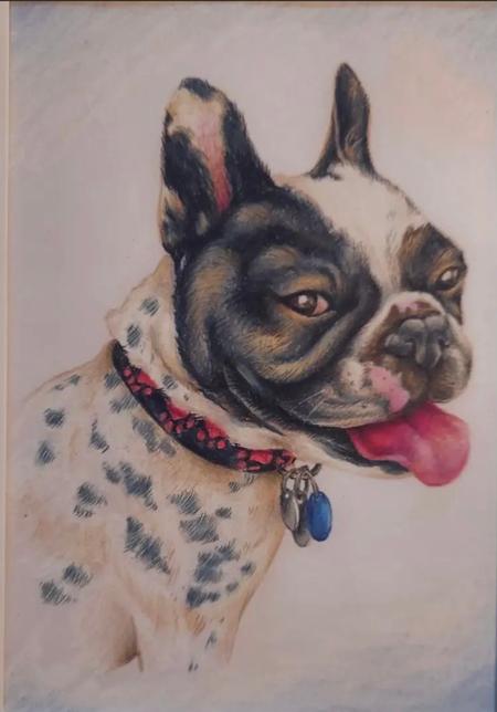 Art - Dog Portrait - 145325