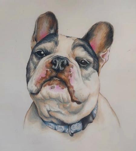 Art - Dog Portrait - 145326