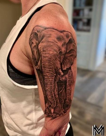 Tattoos - Matt Morrison Elephant - 140521