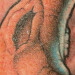 Tattoos - tree - 24644