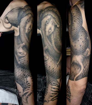 Tattoos - Snake eating rats tattoo sleeve - 28937