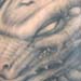 Tattoos - Winged dragon full back tattoo - 28920