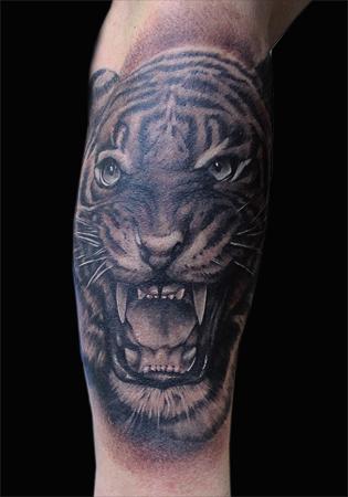 Tattoos - Tiger - 86047