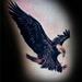Tattoos - Eagle. - 54453