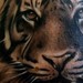 Tattoos - Realistic Tiger - 50657