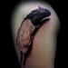 Tattoos - RaT - 54246