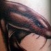 Tattoos - Snake - 52939